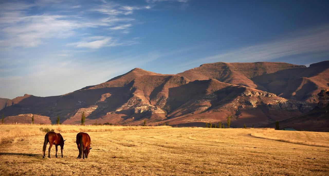 Ferienwohnung Dynasty Red Mountain Ranch Clarens Exterior foto