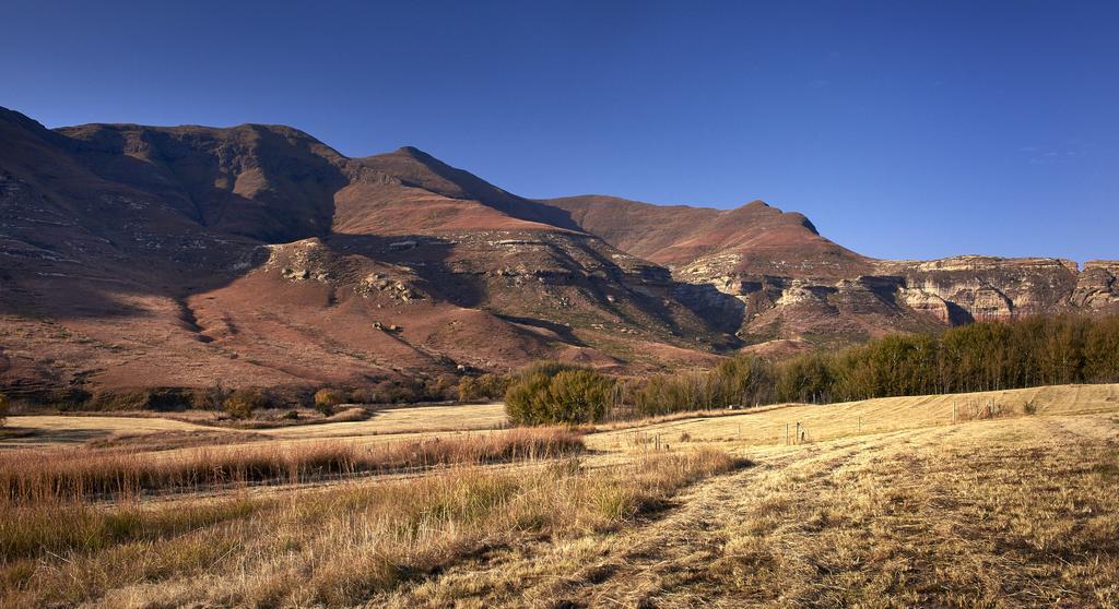 Ferienwohnung Dynasty Red Mountain Ranch Clarens Exterior foto