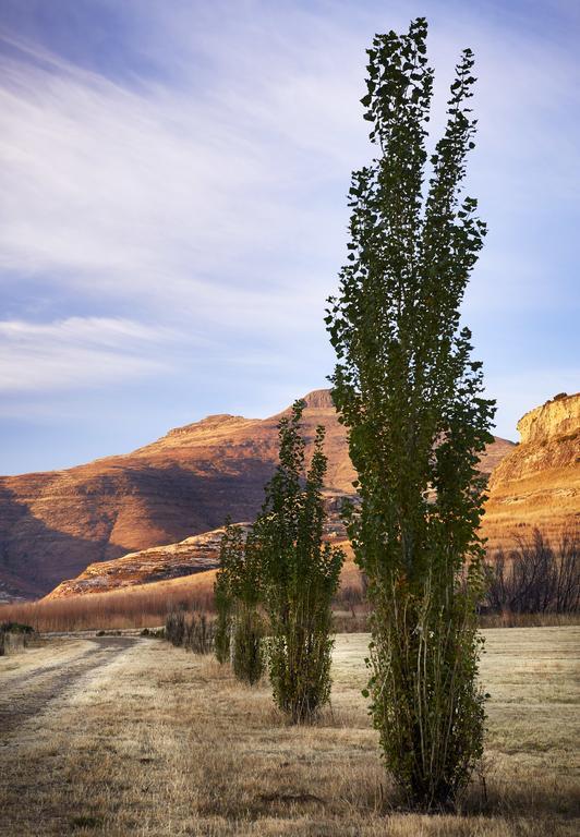 Ferienwohnung Dynasty Red Mountain Ranch Clarens Exterior foto