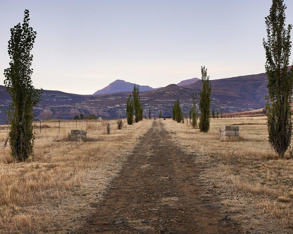 Ferienwohnung Dynasty Red Mountain Ranch Clarens Exterior foto