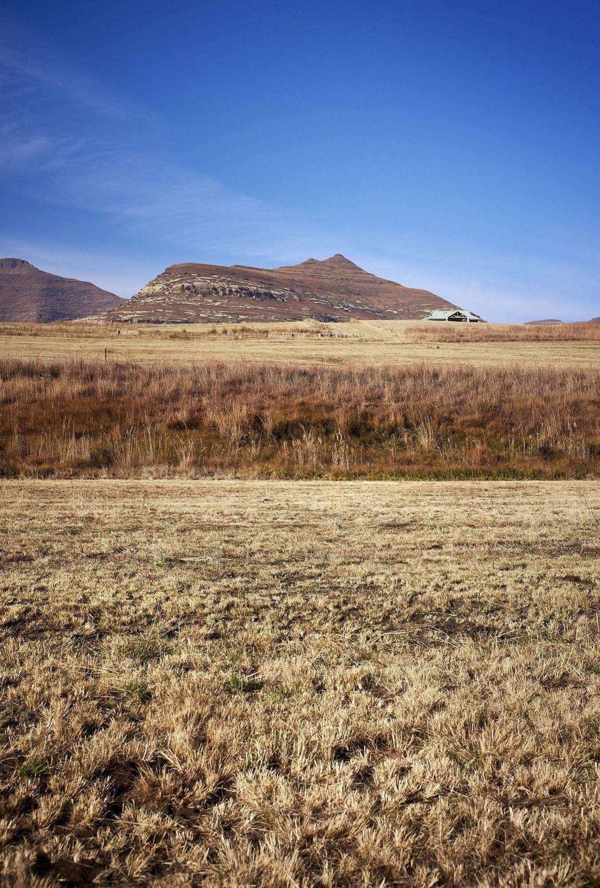 Ferienwohnung Dynasty Red Mountain Ranch Clarens Exterior foto