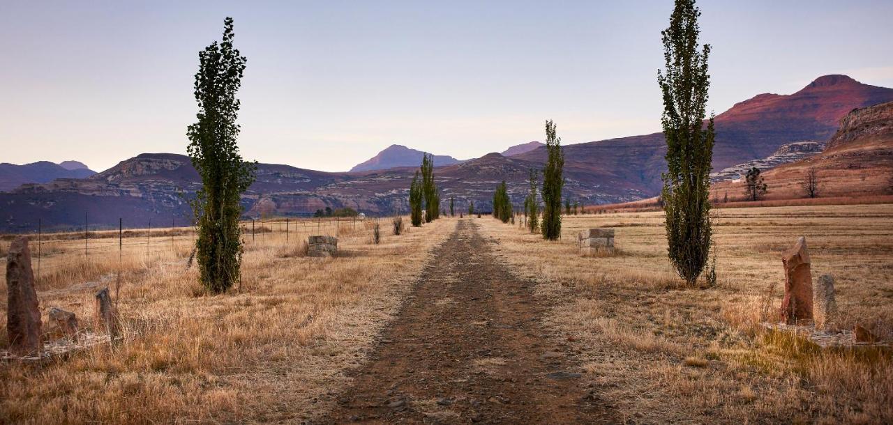 Ferienwohnung Dynasty Red Mountain Ranch Clarens Exterior foto