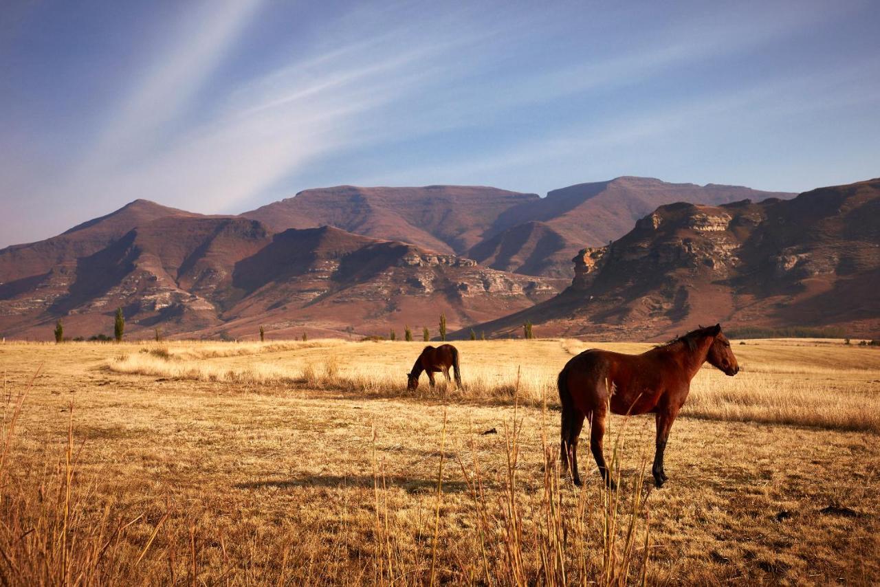 Ferienwohnung Dynasty Red Mountain Ranch Clarens Exterior foto