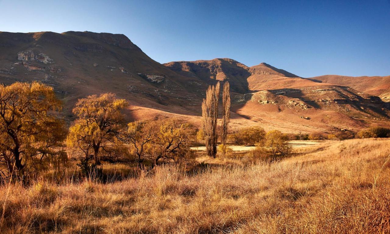 Ferienwohnung Dynasty Red Mountain Ranch Clarens Exterior foto